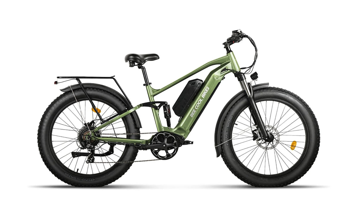 Electric Bike Bee Voyager (Used)