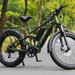 Electric Bike Bee Voyager (Used)
