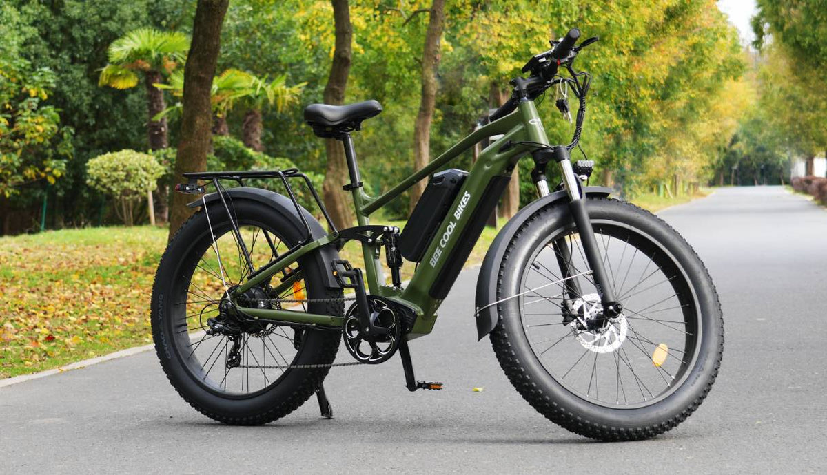 Electric Bike Bee Voyager (Used)