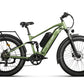 Electric Bike Bee Voyager (Used)