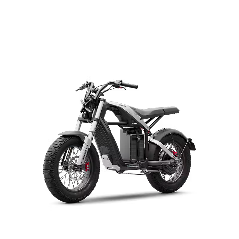 Segway Xyber (Online Order Only)