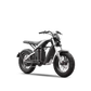 Segway Xyber (Online Order Only)